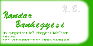 nandor banhegyesi business card